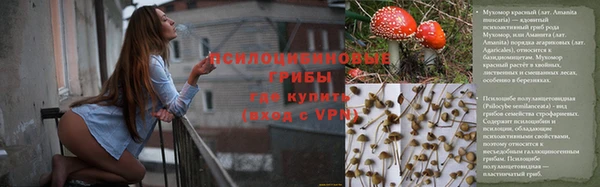 ешки Новодвинск