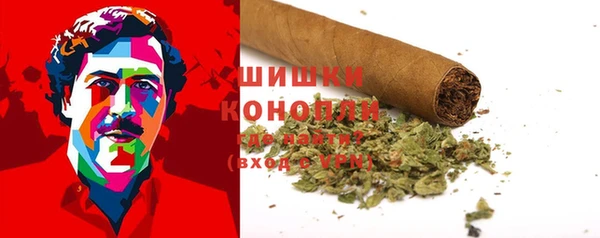 jwh Новозыбков