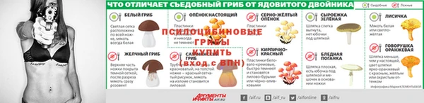 ешки Новодвинск