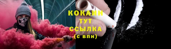 ешки Новодвинск