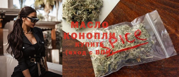ешки Новодвинск