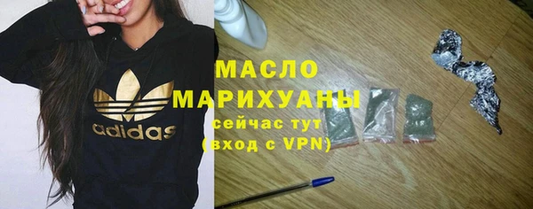 ешки Новодвинск