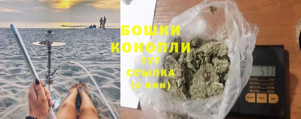 ешки Новодвинск