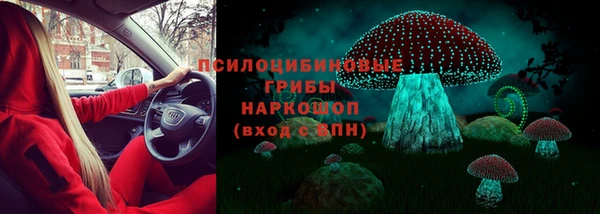 jwh Новозыбков