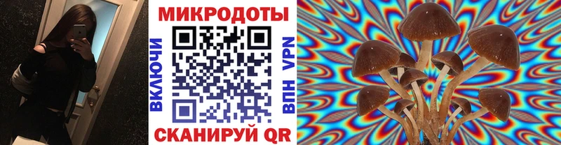 Купить закладки  Домодедово  Галлюциногенные грибы Psilocybe 